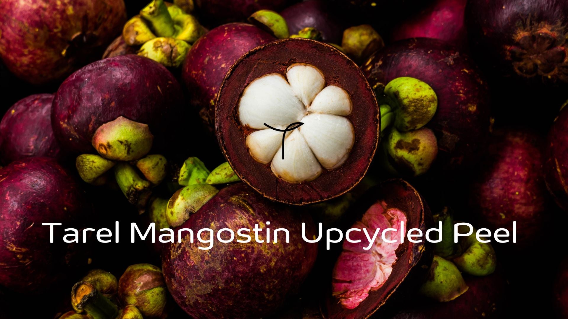 Mangostin Upcycled Peel - A Sustainable Future with Better Skin