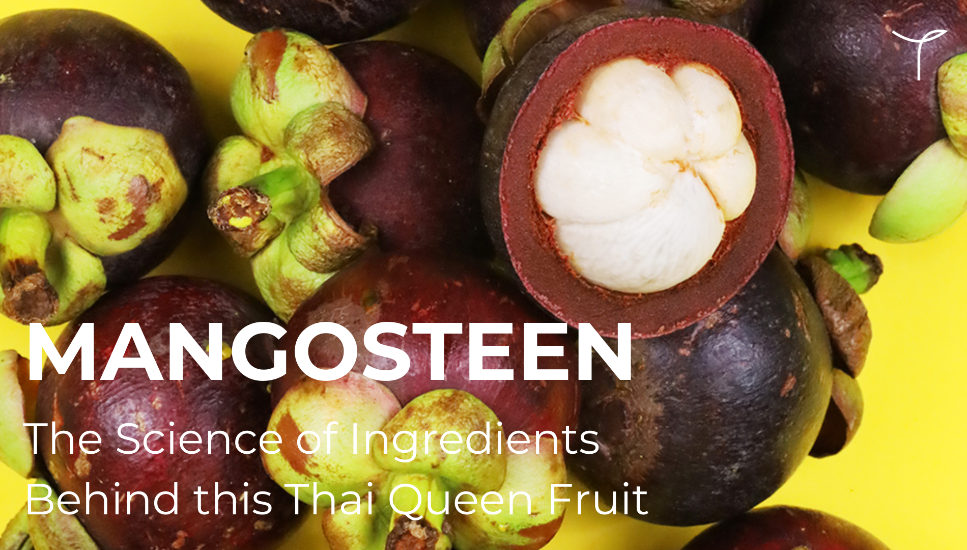 Mangosteen: Natural Inflammation-Fighting Queen from Thailand