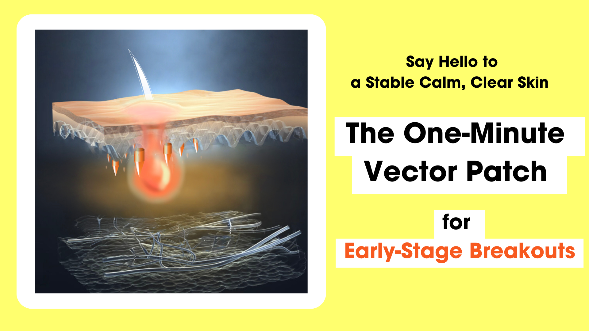 Say Hello to a Stable Calm, Clear Skin – The One-Minute Vector Patch for Early-Stage Breakouts