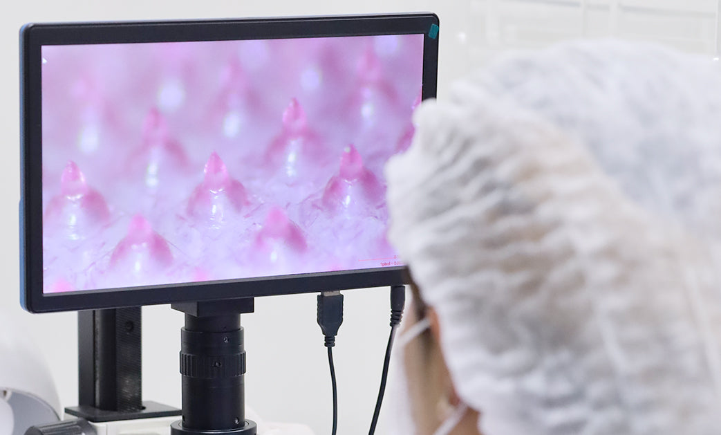 About Us – Tarel Laboratory