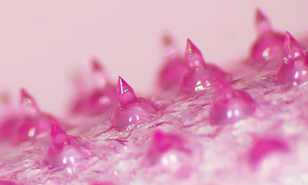 About Us – Tarel Laboratory