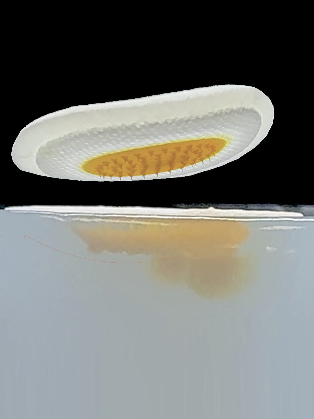 Tarel Laboratory | Simplifying Science Into Your Daily Routine