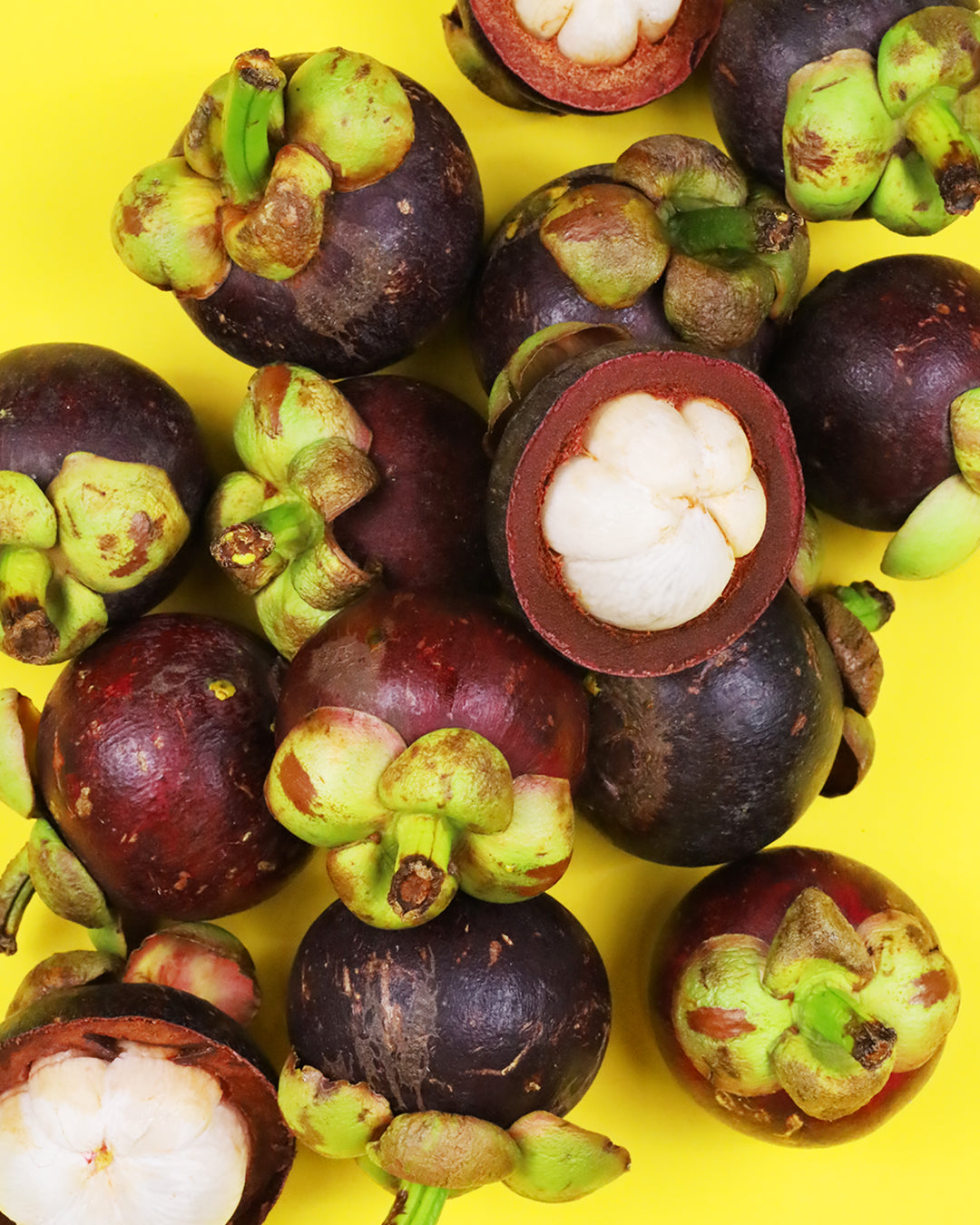 Tarel Laboratory | Simplifying Science Into Your Daily Routine