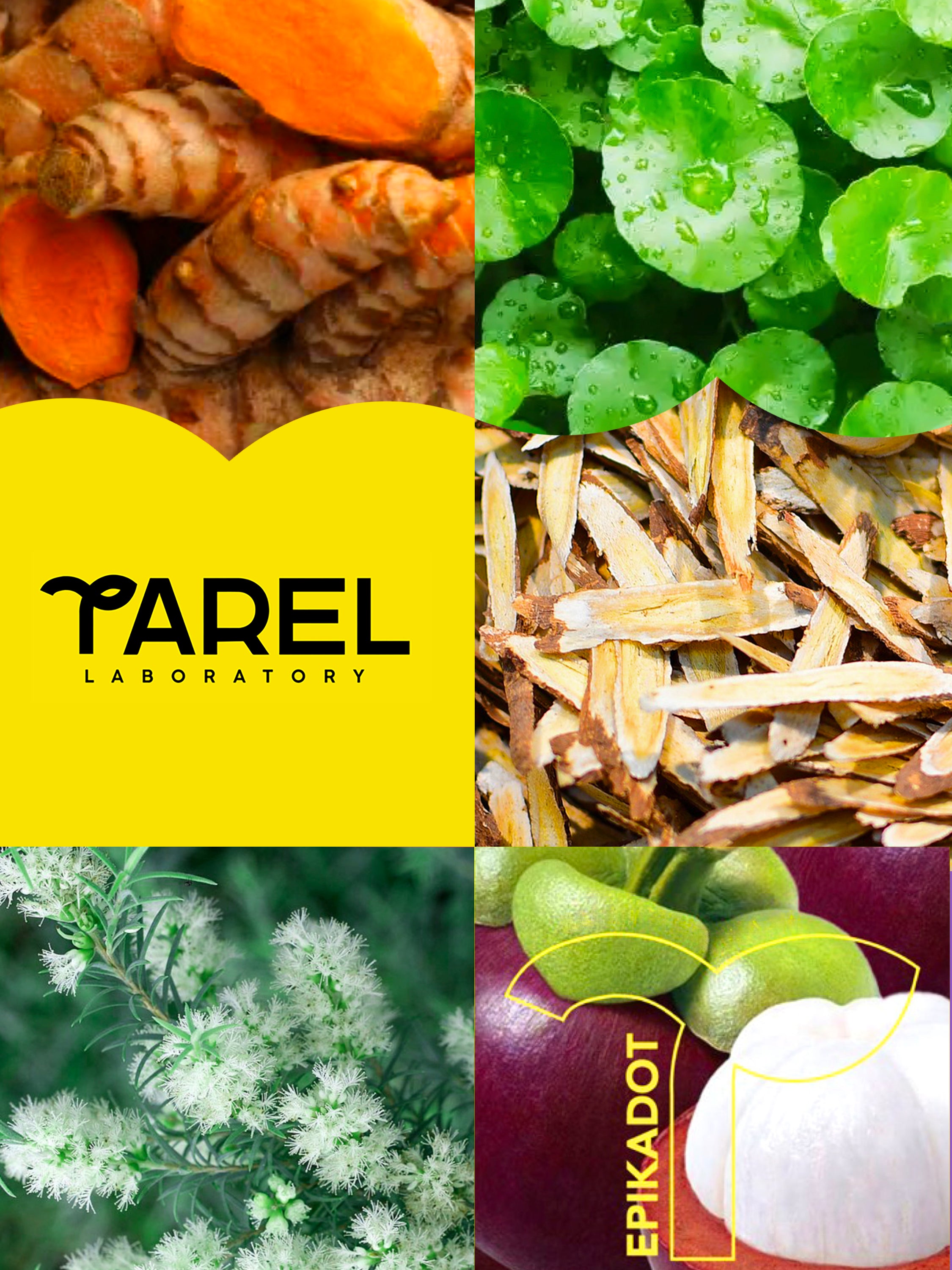 Tarel Laboratory | Simplifying Science Into Your Daily Routine