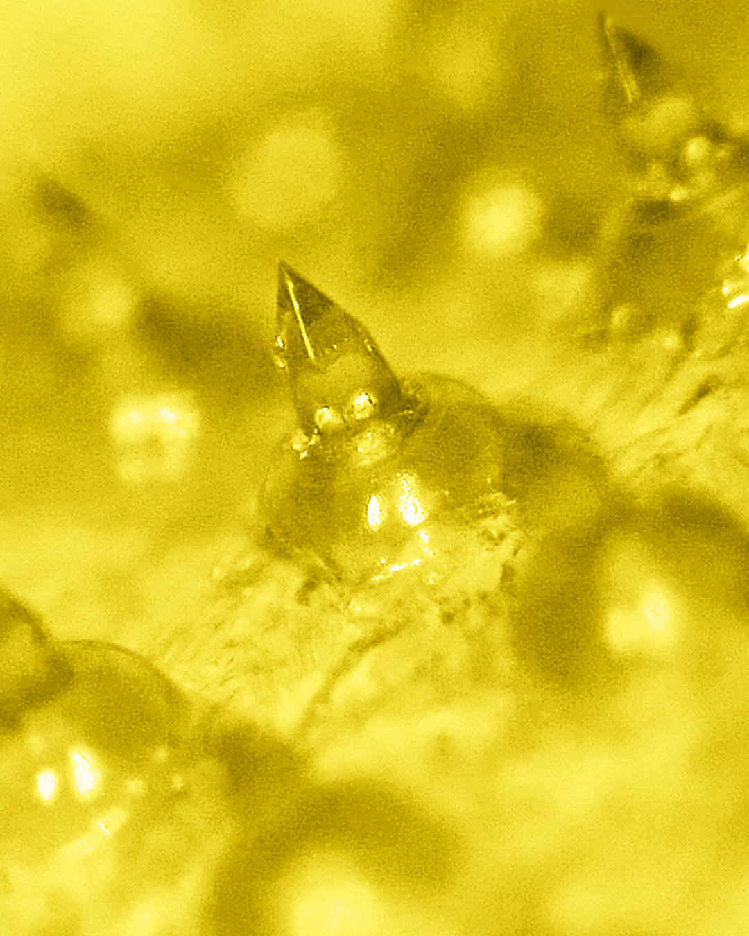 Tarel Laboratory | Simplifying Science Into Your Daily Routine